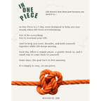 In One Piece: Daily Support for Overwhelming Days